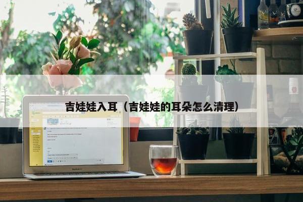 吉娃娃入耳（吉娃娃的耳朵怎么清理）