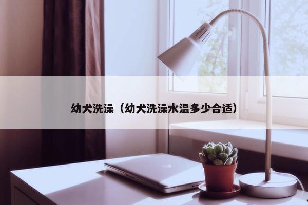 幼犬洗澡（幼犬洗澡水温多少合适）