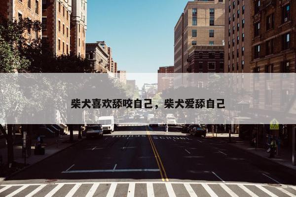 柴犬喜欢舔咬自己，柴犬爱舔自己