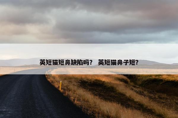 英短猫短鼻缺陷吗？ 英短猫鼻子短？