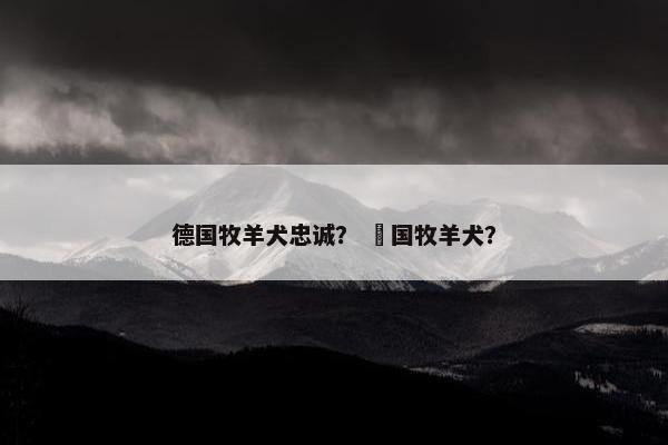 德国牧羊犬忠诚？ 徳国牧羊犬？