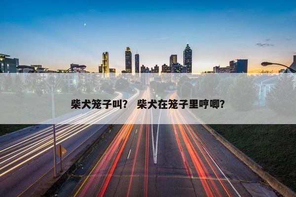 柴犬笼子叫？ 柴犬在笼子里哼唧？