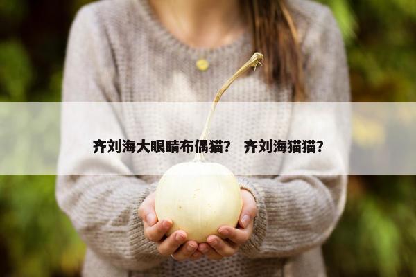 齐刘海大眼睛布偶猫？ 齐刘海猫猫？