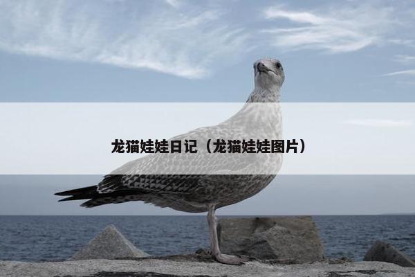 龙猫娃娃日记（龙猫娃娃图片）