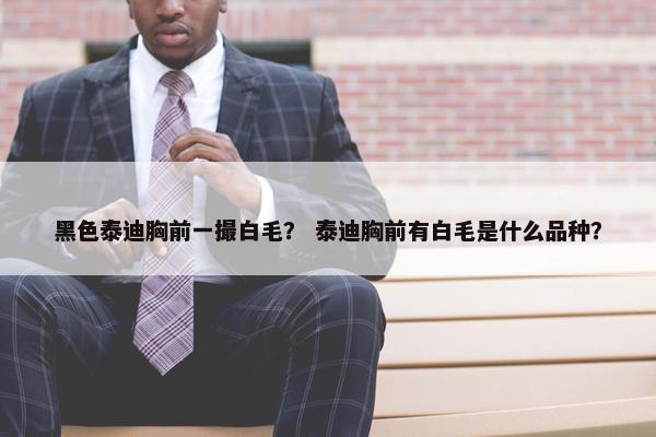 黑色泰迪胸前一撮白毛？ 泰迪胸前有白毛是什么品种？