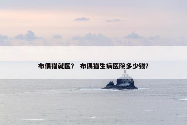 布偶猫就医？ 布偶猫生病医院多少钱？