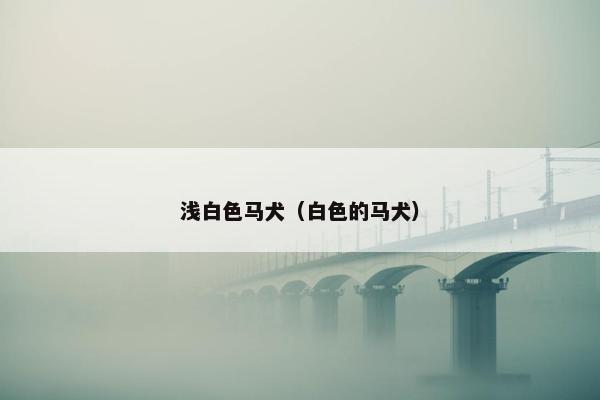 浅白色马犬（白色的马犬）