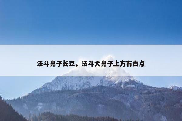 法斗鼻子长豆，法斗犬鼻子上方有白点