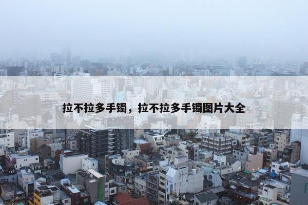拉不拉多手镯，拉不拉多手镯图片大全