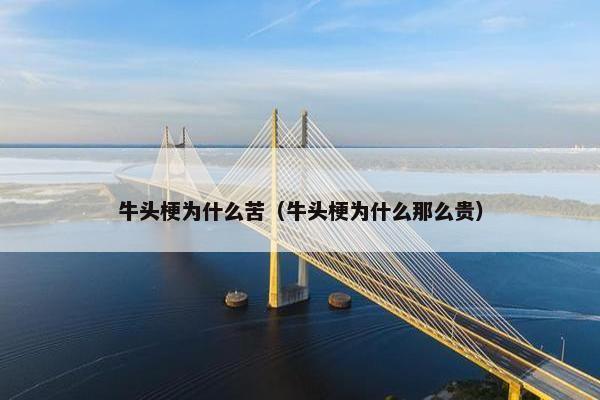 牛头梗为什么苦（牛头梗为什么那么贵）