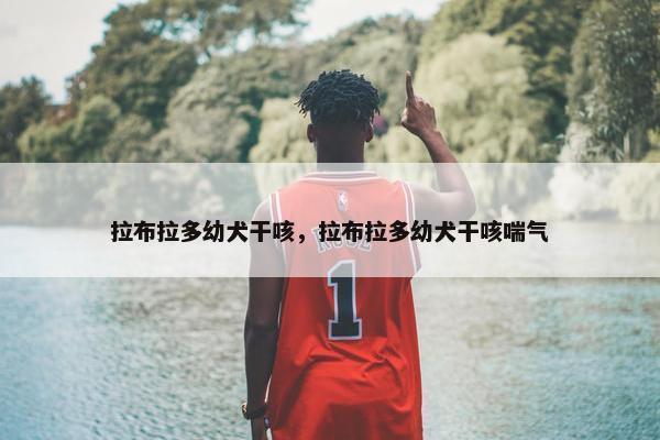 拉布拉多幼犬干咳，拉布拉多幼犬干咳喘气