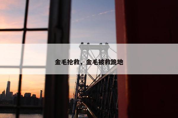 金毛抢救，金毛被救跪地