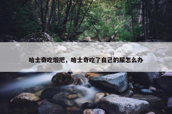 哈士奇吃烟把，哈士奇吃了自己的屎怎么办