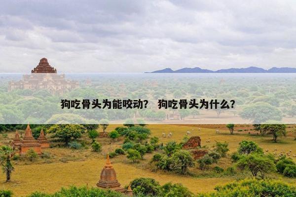 狗吃骨头为能咬动？ 狗吃骨头为什么？