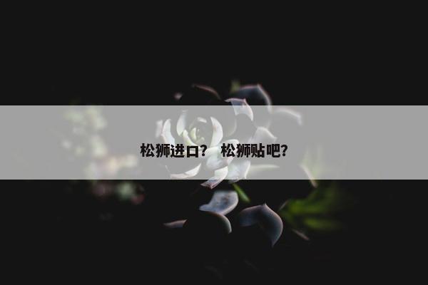 松狮进口？ 松狮贴吧？