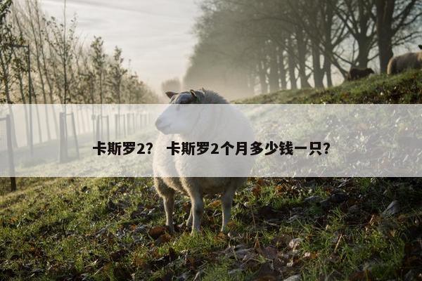 卡斯罗2？ 卡斯罗2个月多少钱一只？