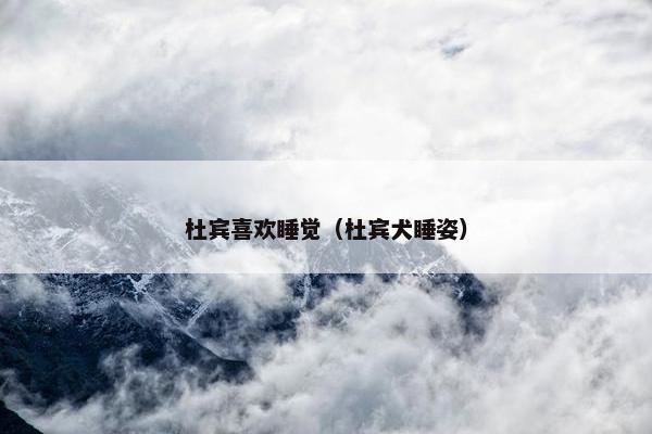 杜宾喜欢睡觉（杜宾犬睡姿）