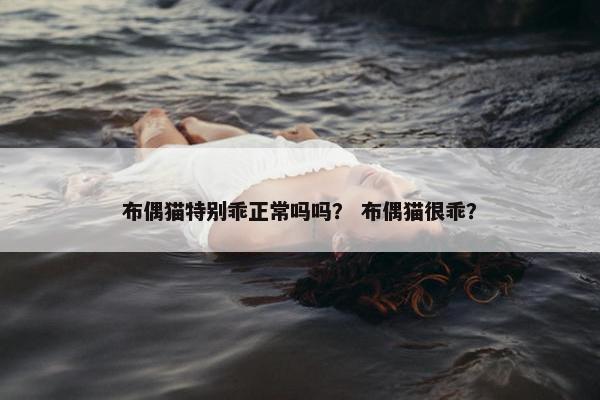 布偶猫特别乖正常吗吗？ 布偶猫很乖？