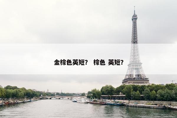 金棕色英短？ 棕色 英短？