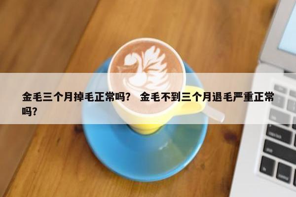 金毛三个月掉毛正常吗？ 金毛不到三个月退毛严重正常吗？