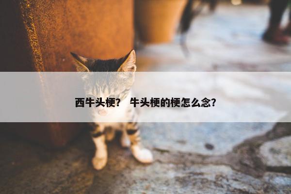 西牛头梗？ 牛头梗的梗怎么念？