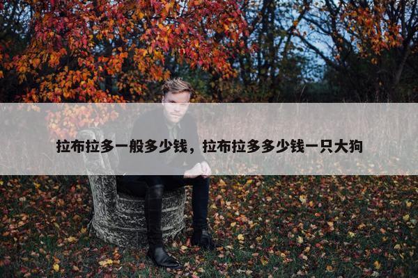 拉布拉多一般多少钱，拉布拉多多少钱一只大狗