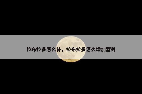 拉布拉多怎么补，拉布拉多怎么增加营养
