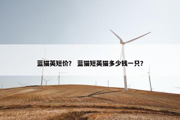 蓝猫英短价？ 蓝猫短英猫多少钱一只？