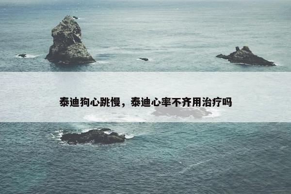 泰迪狗心跳慢，泰迪心率不齐用治疗吗