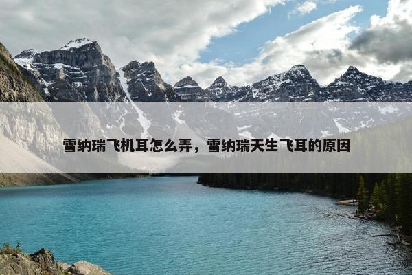 雪纳瑞飞机耳怎么弄，雪纳瑞天生飞耳的原因