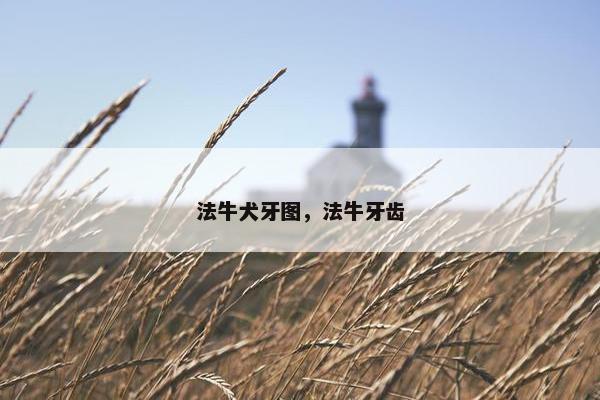 法牛犬牙图，法牛牙齿