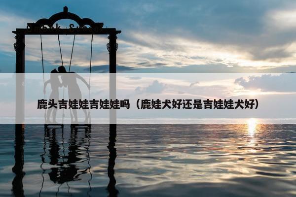 鹿头吉娃娃吉娃娃吗（鹿娃犬好还是吉娃娃犬好）
