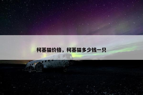 柯基猫价格，柯基猫多少钱一只