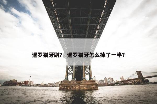 暹罗猫牙刷？ 暹罗猫牙怎么掉了一半？