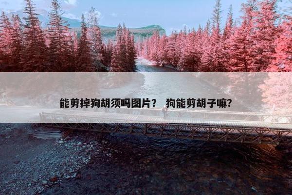 能剪掉狗胡须吗图片？ 狗能剪胡子嘛？