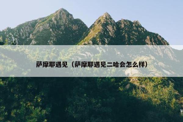 萨摩耶遇见（萨摩耶遇见二哈会怎么样）
