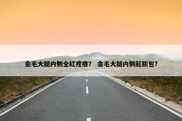 金毛大腿内侧全红疙瘩？ 金毛大腿内侧起脓包？