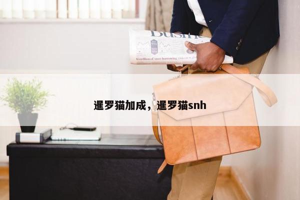 暹罗猫加成，暹罗猫snh