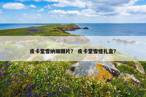 皮卡堂雪纳瑞图片？ 皮卡堂雪怪礼盒？