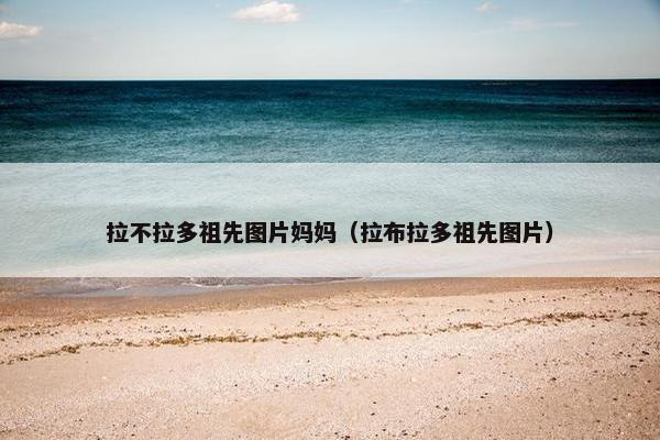 拉不拉多祖先图片妈妈（拉布拉多祖先图片）