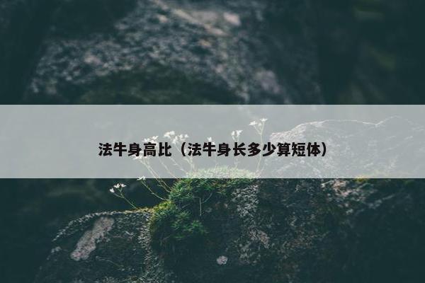 法牛身高比（法牛身长多少算短体）