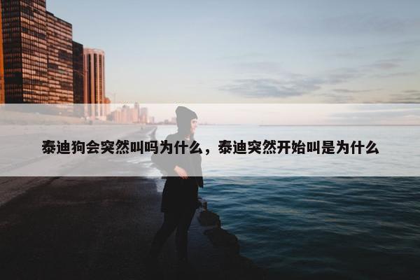 泰迪狗会突然叫吗为什么，泰迪突然开始叫是为什么