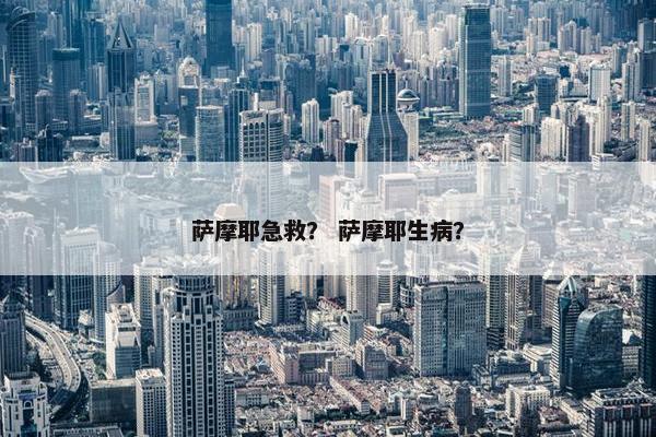 萨摩耶急救？ 萨摩耶生病？