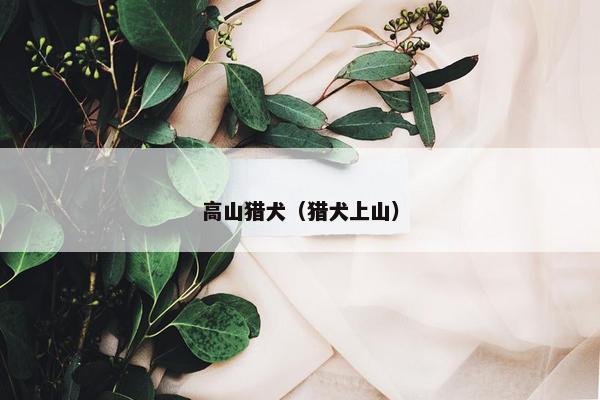 高山猎犬（猎犬上山）