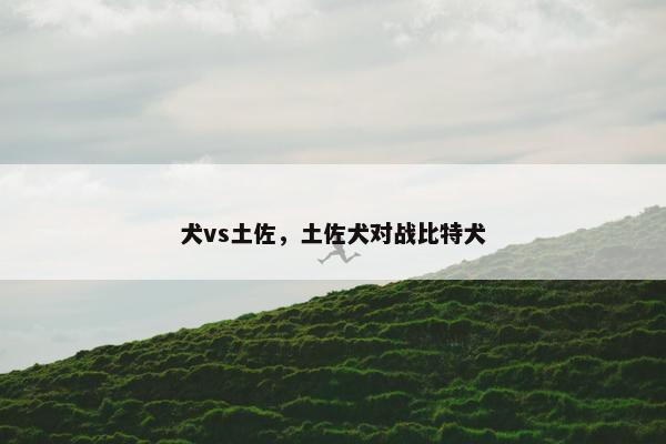 犬vs土佐，土佐犬对战比特犬