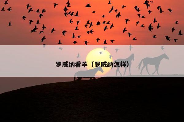 罗威纳看羊（罗威纳怎样）
