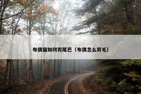 布偶猫如何剪尾巴（布偶怎么剪毛）