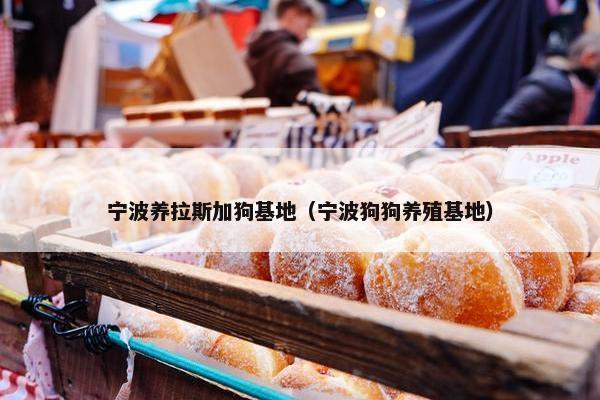 宁波养拉斯加狗基地（宁波狗狗养殖基地）