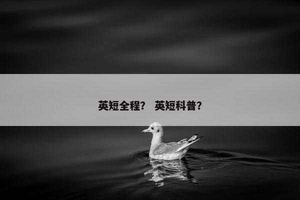 英短全程？ 英短科普？