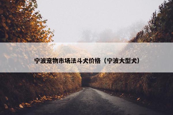 宁波宠物市场法斗犬价格（宁波大型犬）